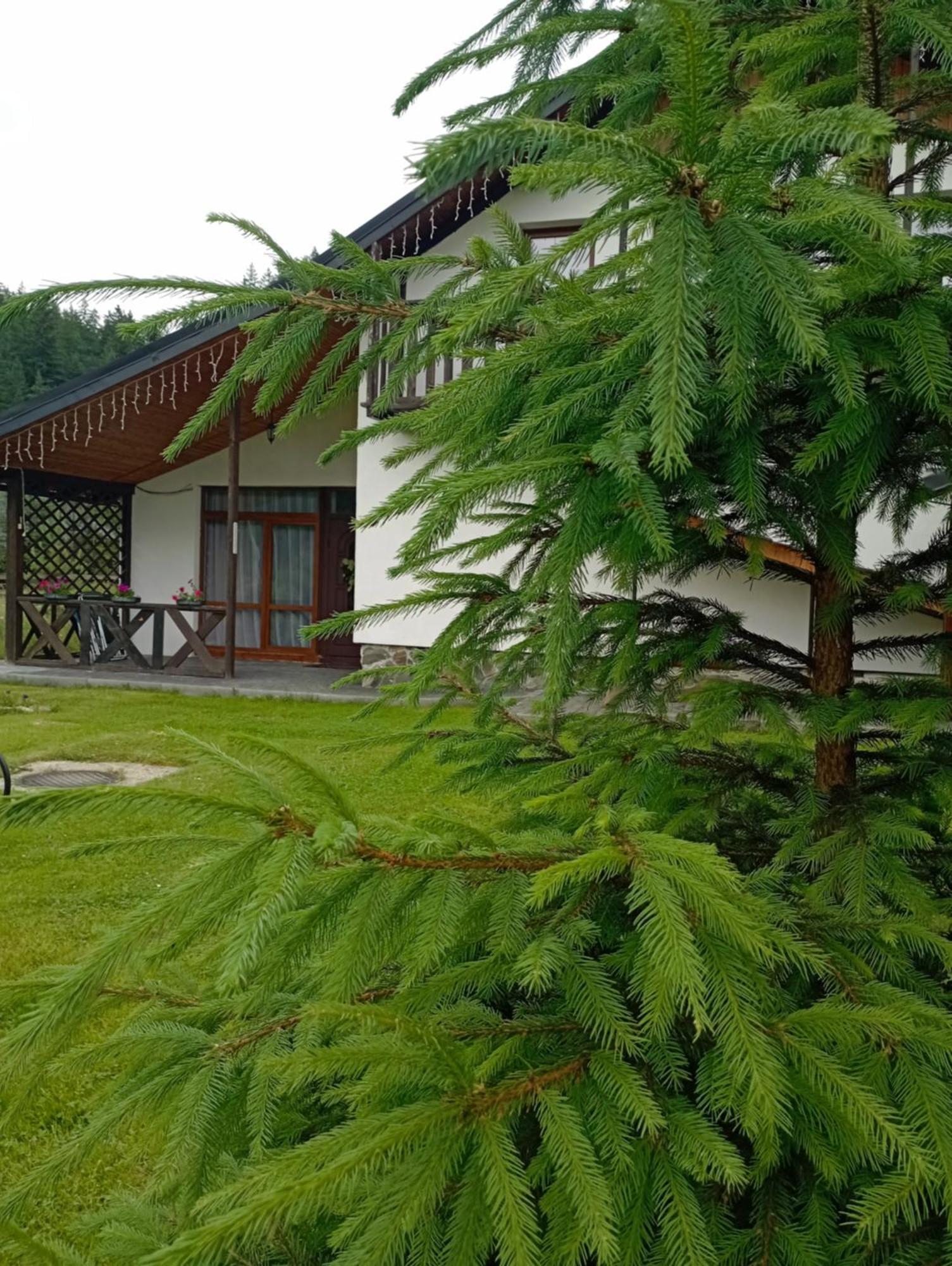 Penzion U Anastasii I Sofii Bilya Richki Mykulyčyn Exteriér fotografie