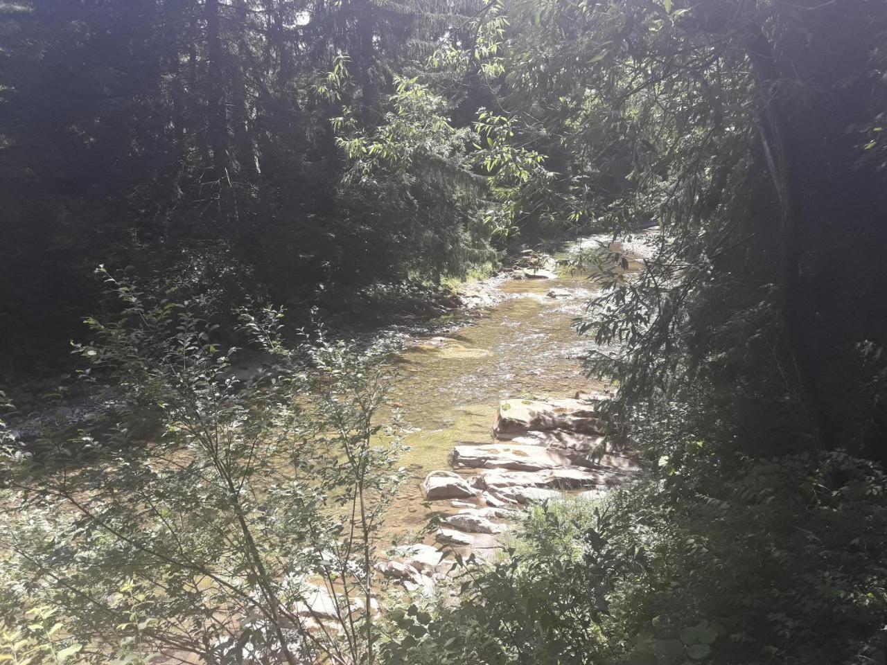 Penzion U Anastasii I Sofii Bilya Richki Mykulyčyn Exteriér fotografie